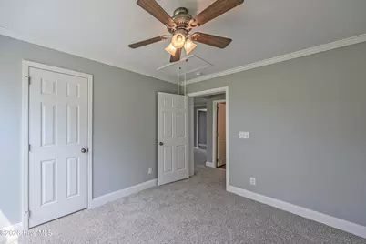 1327 Old Chinquapin Road, Beulaville, NC 28518 - Photo 35