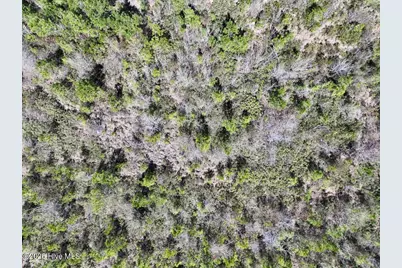 0 Guinea Mill Road, Ernul, NC 28527 - Photo 19