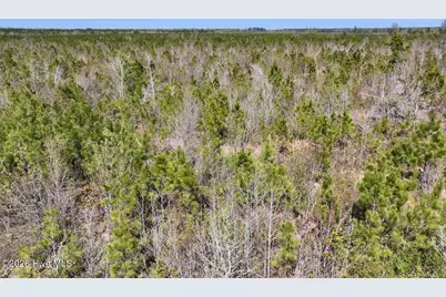 0 Guinea Mill Road, Ernul, NC 28527 - Photo 17