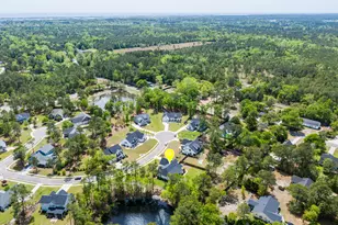 194 Hampton Court, Hampstead, NC 28443 - Photo 59