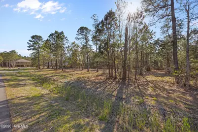 661 Vandemere Creek Drive, Vandemere, NC 28587 - Photo 5