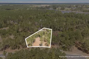 69 Royal Shl Ln, Vandemere, NC 28587 - Photo 1