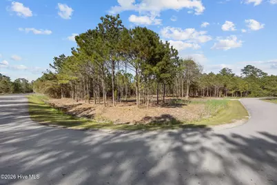 699 Vandemere Creek Drive, Vandemere, NC 28587 - Photo 3