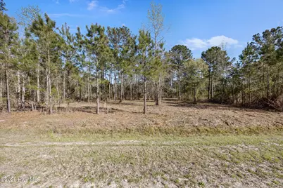 168 Shell Castle Lane, Vandemere, NC 28587 - Photo 15