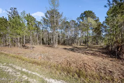 168 Shell Castle Lane, Vandemere, NC 28587 - Photo 3