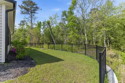 177 Tilloo Cut Way, Hampstead, NC 28443 - Photo 57