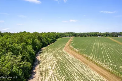 1500 Veachs Mill Road, Warsaw, NC 28398 - Photo 53