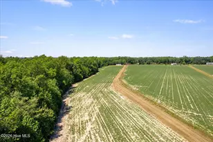 1500 Veachs Mill Rd, Warsaw, NC 28398 - Photo 53