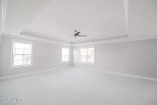 479 Sugar Cove Run, Wilmington, NC 28411 - Photo 59