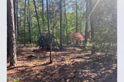 1551 Linden Road, Aberdeen, NC 28315 - Photo 39