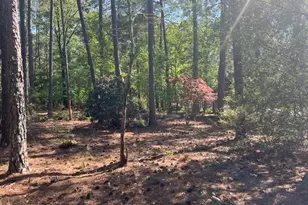 1551 Linden Rd, Aberdeen, NC 28315 - Photo 39