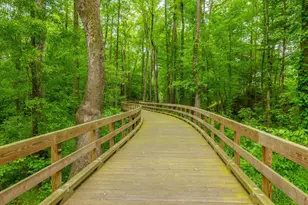 9385 Fallen Pear Ln NE, Leland, NC 28451 - Photo 97