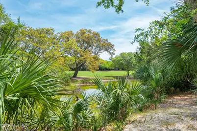 23 Dowitcher Trail, Bald Head Island, NC 28461 - Photo 43