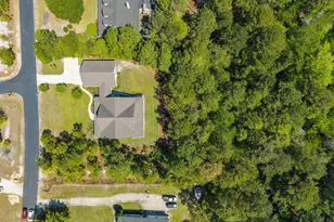 211 Whimbrel Way, Hampstead, NC 28443 - Photo 81