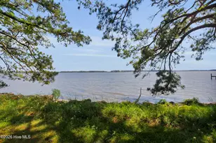 310 Myrtlewood Ln, Bayboro, NC 28515 - Photo 21