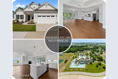 559 Moss Lake Lane, Holly Ridge, NC 28445 - Photo 1