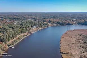 3566 Chicora Dr, Castle Hayne, NC 28429 - Photo 67