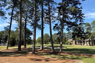 5 Pine Tree Rd, Pinehurst, NC 28374 - Photo 23