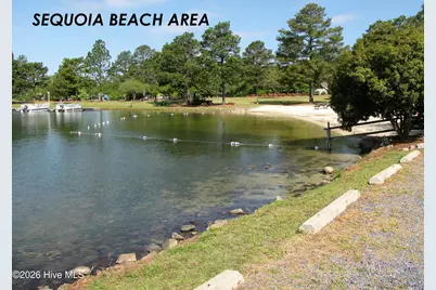 101 Swan Run Court, Seven Lakes, NC 27376 - Photo 53