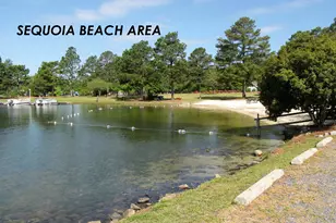 101 Swan Run Ct, Seven Lakes, NC 27376 - Photo 53