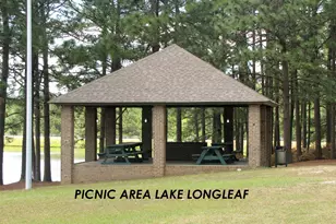 101 Swan Run Ct, Seven Lakes, NC 27376 - Photo 59