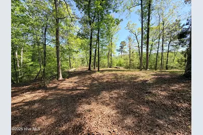 109/111 Barry Lane, Jacksonville, NC 28540 - Photo 11