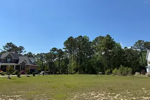 405 Palustris Ct, Holly Ridge, NC 28445 - Photo 1