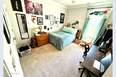 5010 Spring Green Pass, New Bern, NC 28562 - Photo 19