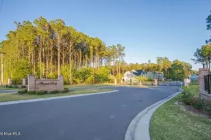 417 Harlequin Ct, Sneads Ferry, NC 28460 - Photo 47