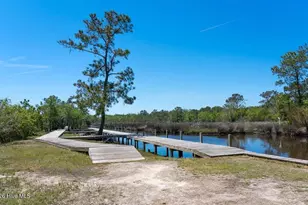 417 Harlequin Ct, Sneads Ferry, NC 28460 - Photo 57