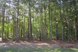 47 Boshers Point Dr, Hertford, NC 27944 - Photo 1