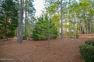 6 Spruce Ln, Pinehurst, NC 28374 - Photo 57