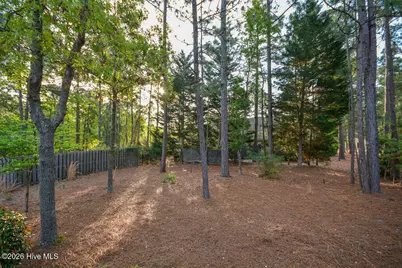 6 Spruce Lane, Pinehurst, NC 28374 - Photo 51