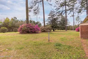 1055 Hwy 58 N, Trenton, NC 28585 - Photo 5