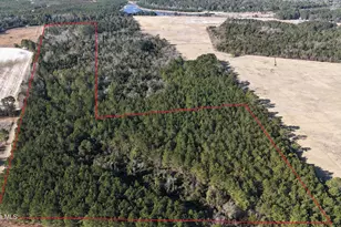 Near 523 Culbreth Smith Rd, Elizabethtown, NC 28337 - Photo 1