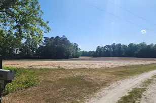 6092 Joe Brown Hwy S, Chadbourn, NC 28431 - Photo 9