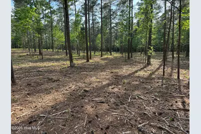 000 Tbd Lancaster Store Road Road, Spring Hope, NC 27882 - Photo 5