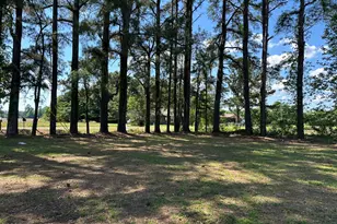 201 Morning Rd, Windsor, NC 27983 - Photo 21
