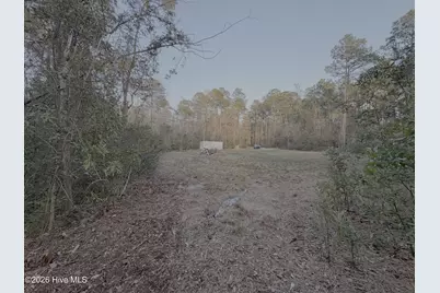 3.98 Acres Pelham Road, Willard, NC 28478 - Photo 5