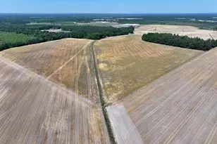 Tbd N Duffie North Rd, Red Springs, NC 28377 - Photo 1
