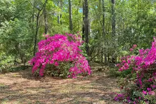 227 E 11th St, Southport, NC 28461 - Photo 45