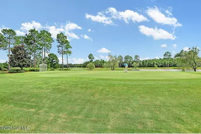 1113 Willow Pond Lane, Leland, NC 28451 - Photo 65