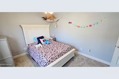 2825 Little Gem Circle, Winterville, NC 28590 - Photo 27