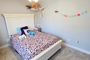 2825 Little Gem Cir, Winterville, NC 28590 - Photo 27