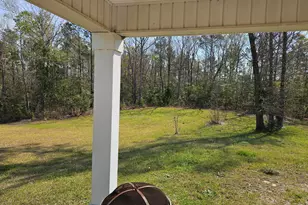 399 High Ridge Ct, Sneads Ferry, NC 28460 - Photo 19
