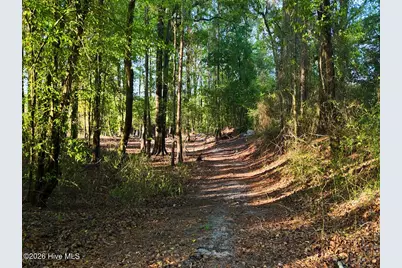 0 Durwood Evans Road, Beulaville, NC 28518 - Photo 53