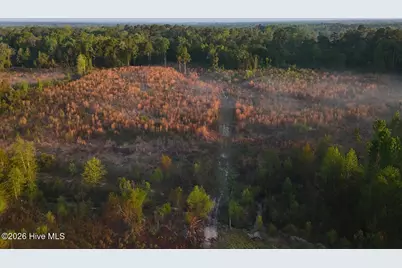 0 Durwood Evans Road, Beulaville, NC 28518 - Photo 33