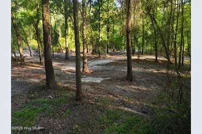 0 Durwood Evans Road, Beulaville, NC 28518 - Photo 51