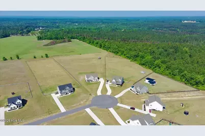 339 Rocking Horse Lane, Raeford, NC 28376 - Photo 43