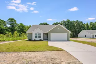 109 William Gurganus Rd, Maple Hill, NC 28454 - Photo 3